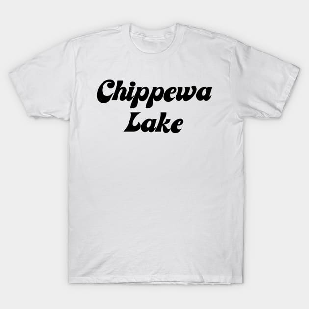 Chippewa Lake Park T-Shirt by carcinojen